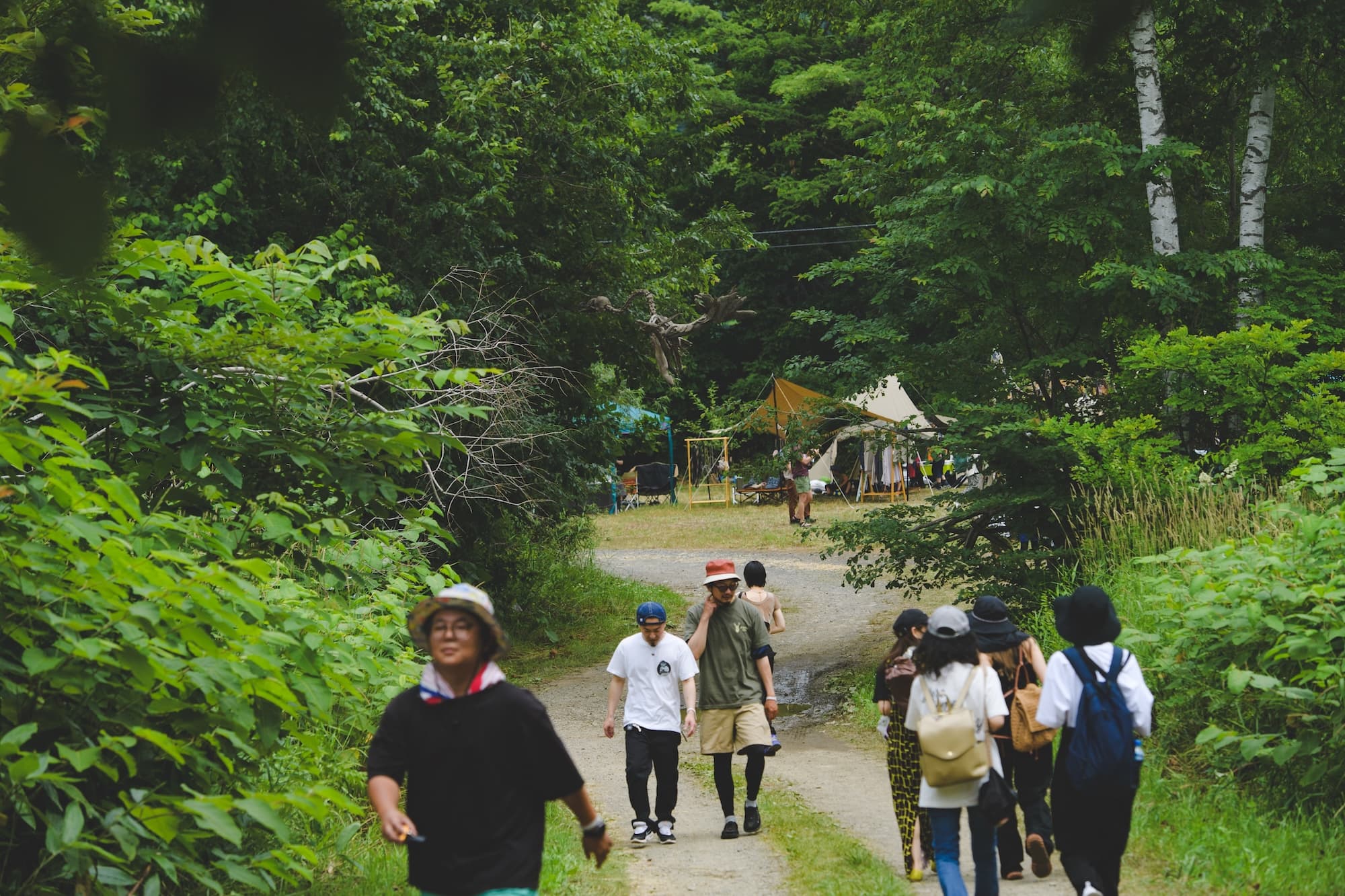 GANKE FES - 2