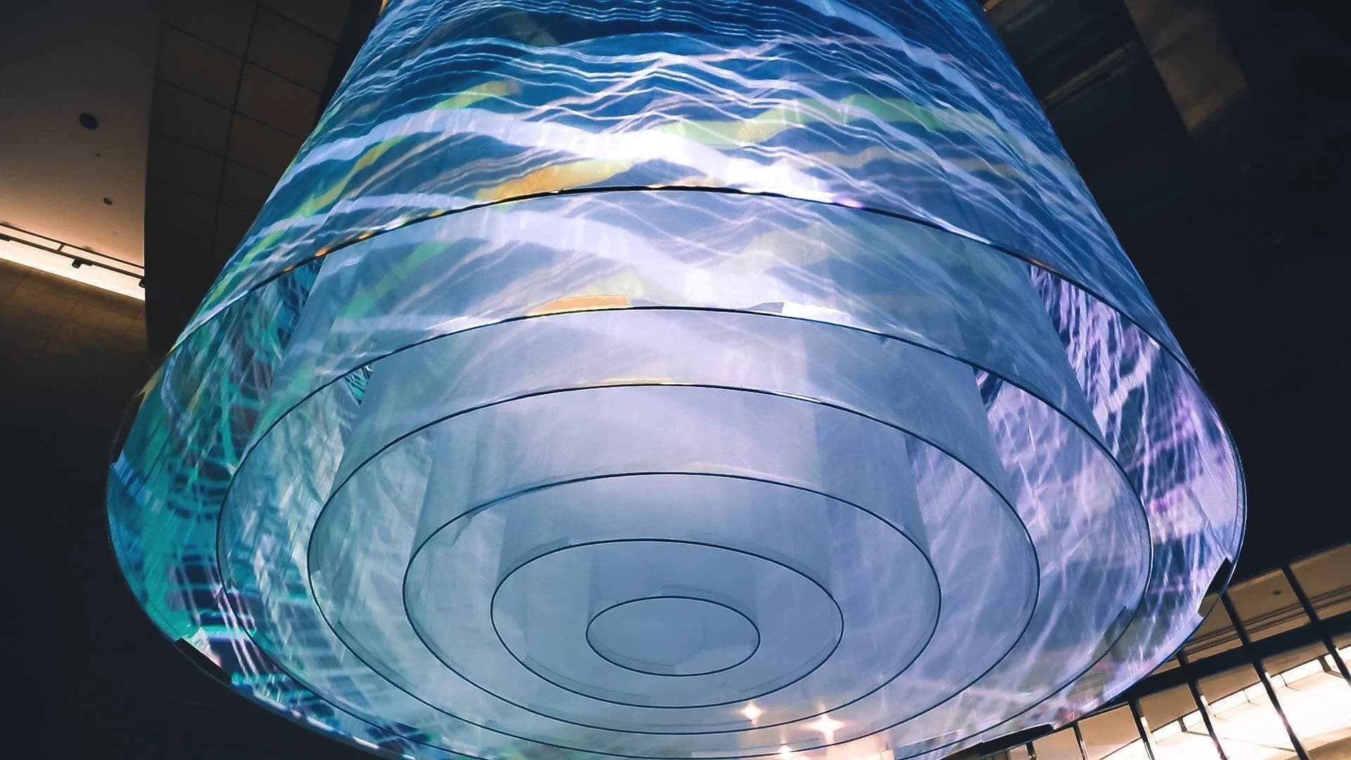 Shanghai Lights by Human Moving - 4